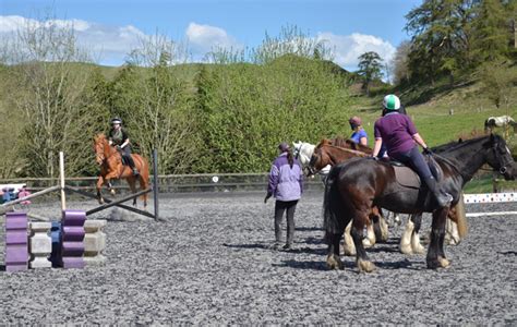 New Range Horse Riding School & Rescue Centre
